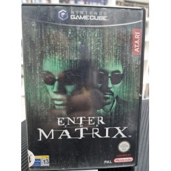 ENTER THE MATRIX