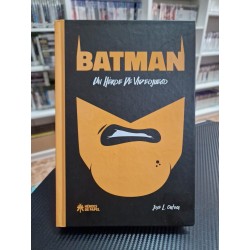 BATMAN UN HÉROE DE VIDEOJUEGOS